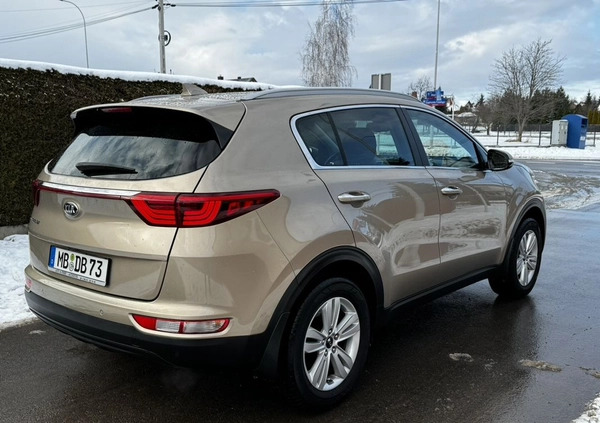 Kia Sportage cena 75900 przebieg: 67000, rok produkcji 2016 z Rzeszów małe 172